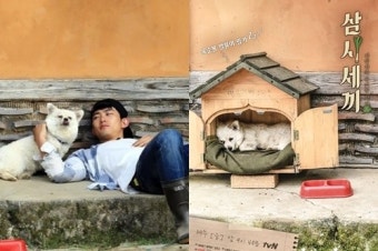 삼시세끼 밍키, '삼시세끼 정선편 시즌2' 이후 달라진 생활