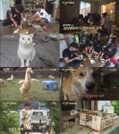 삼시세끼 고창편, #대들보손호준 #무섭다오리야 #어서와겨울아