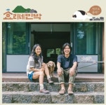 효리네 민박 시즌2로 컴백..이효리♥이상순이 보여주는 겨울의 제주도