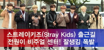 [e영상]스트레이키즈(Stray Kids) 출근길, 전원이 비주얼 센터! 잘생김 폭발