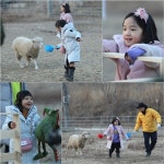 1박2일 차태현 딸 차태은·차수진, 양떼소녀 차차 됐다 러블리