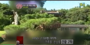 보아, 1,500평의 목장과 전원주택 소유한 ′걸어다니는 기업′※