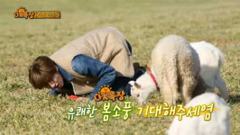 청정예능 <애니멀즈> 동물들과 봄소풍 떠나요!