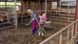 [그녀는 예뻤다 리뷰] 박서준-황정음 ‘무전취식’ 대가, “소똥이라니~”