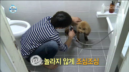 [나 혼자 산다 리뷰] “뷔페 어때~” 일일 개아범 황치열의 상차림!