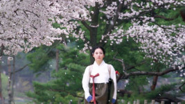 [소소(所所)한 그곳] 봄과 꽃그늘에는 역시 고전이 제격! <사임당> 속 그곳