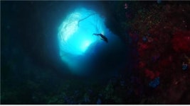 다큐 <자연의 타임캡슐> 유네스코 세계유산 담는다…푸른 바다의 전설