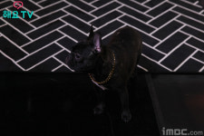 [비하인드②]블락비 유권, 팡·쿤과 라디오 진행했개! (ft.숨은 팡이 찾기!) (블락비 유권의 사생활-1화) 