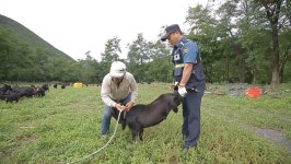 ‘시골경찰4’ 염소농장 순찰로 시골경찰다운 미션에 도전!