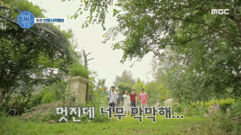 신기루 식당 강원도 인제의 냇강마을 도착! 식당은 없고 풀 가득한 허허벌판만?!