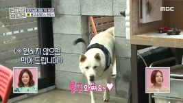 ‘구해줘! 홈즈’ “큰 개집이네” 노홍철도 시샘한 ‘봉구네 테라스하우스’