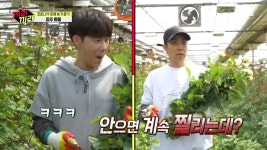 ‘끼리끼리’ 은지원-성규, 화훼농가 지원! ‘가시 공격’ 뚫고 장미다발로