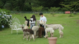 아내의 맛 이필모♡서수연, 제주도에서 재현된 연애의 맛