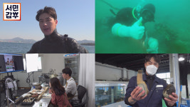 서민갑부 다이버수산, 해산물 직송 온라인사이트 대박