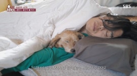 동물농장 이효리, 순심이 마지막 날 이효리네 모든 동물 식구들 함께했다