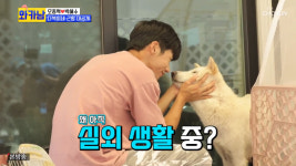와카남 김빈우♥전용진 집콕 워터파크→오종혁♥박혜수 다복이네 근황 이목집중