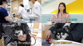 심장이 뛴다 38.5 주치의만 2명, 대학병원 VVIP 짱구 사연