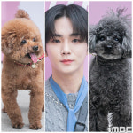 [포토] 샤이니 키, 기범이 닮은 꼼데&가르송