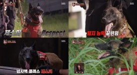 TV동물농장 교도소의 혼란 수습은 우리에게 맡겨라, 최고의 팀 탑독