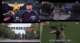 TV동물농장 교도소의 혼란 수습은 우리에게 맡겨라, 최고의 팀 탑독