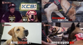 TV동물농장 교도소의 혼란 수습은 우리에게 맡겨라, 최고의 팀 탑독