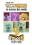 애니멀봐 강아지 자랑 대회 오마이독 온·오프라인 펫미팅 개최