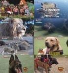 TV동물농장 대형 프로젝트→동네 댕댕이…모든 순간이 감동