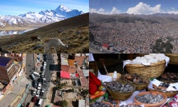 '태계일주' 기안84X이시언X빠니보틀, 지금까지와 다른 교통마비에 대혼돈
