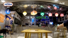 정유미, 강아지 손님에 “서진아!”→최우식 “서진아 나가”...이서진 ‘당황’ (서진이네)