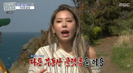 양세형, ‘제주 매물 찾기’ Tip 지역 플랫폼 이용하라“‘홈즈!’