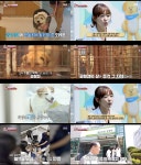TV 동물농장 헌혈 기부로 위기 넘긴 뽀미 고마워 친구들
