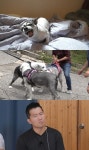 개훌륭 역대급 고막 테러 짖음…펜션 뒤흔든 총체적 난국 犬들