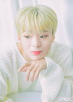 [움짤] 배너 혜성, 별빛 귀요미