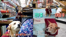 TV동물농장 먹이려는 할아버지VS억지로 먹어주고 있는 진이