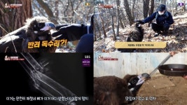 TV동물농장 생존 위해 韓 왔다 날개 잃은 아기 독수리