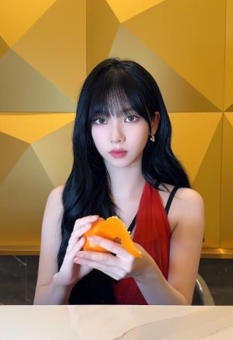 카리나