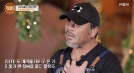 돼지 아빠 돼지 가족 키우게 된 이유? 사람에게 배신(특종세상)