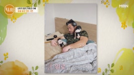 돼지 아빠 돼지 가족 키우게 된 이유? 사람에게 배신(특종세상)