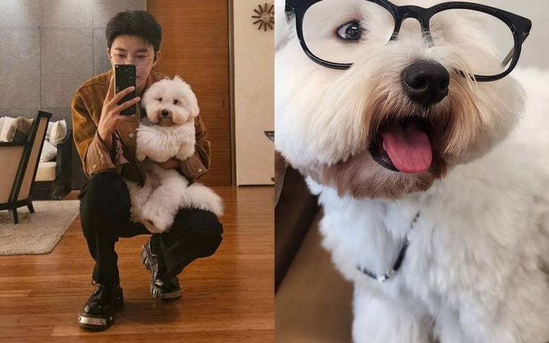 가수 임영웅, 약 3개월 만에 SNS 재개…팬들 환영 속