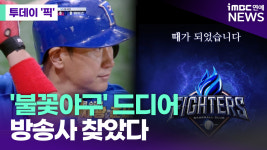 불꽃 파이터즈, 최지만이 소속된 울산 웨일즈와 격돌… SBS Plus 특집 생중계로 주목