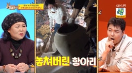 이순실, 무형유산 장인이 만든 옹기 깼다…정대희 옹기장 나와 (사당귀)