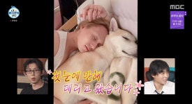 던, ‘무지개 라이브’ 최초로 반려견과 등장 “첫눈에 반해 입양했다” (나혼산)
