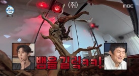 ‘나혼산’ 차우민, 유기묘 입양→‘리트리버상’ 반려뱀 공개 “먹이는 쥐”