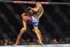 [MMA체육관 성적①] UFC챔프 베우둠·안요스의 킹스MMA 뜬다
