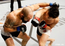 현지 UFC 관계자, 