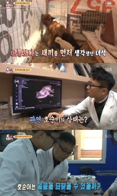 `동물농장` 호순이, 얼굴 40% 뜯겨..안타까움 가득  | 포토뉴스