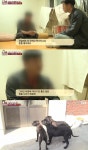 `동물농장` 카네코르소 유기 사건의 진실..주인의 `거짓말` 