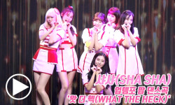 샤샤(SHA SHA), 발랄한 멜로디가 돋보이는 업템포 팝 댄스곡 무대 `왓 더 헥(WHAT THE HECK)` [동영상]