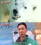 북극곰 통키, 영국 이주 앞두고 결국 사망..안타까운 눈물 너도 꼭 기억해줬으면
