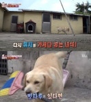 `동물농장` 천재견 행복이, 어떤 물건이든 알아서 척척